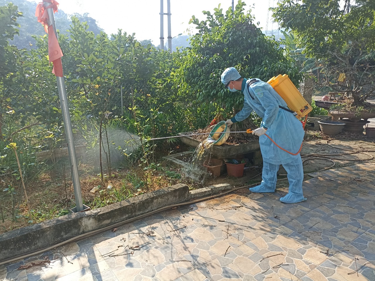 Hình ảnh tin tức Triển khai các hoạt động xử lý môi trường phòng, chống bệnh sốt xuất huyết tại thôn Thanh Niên và Bảo Tân, xã Minh Bảo