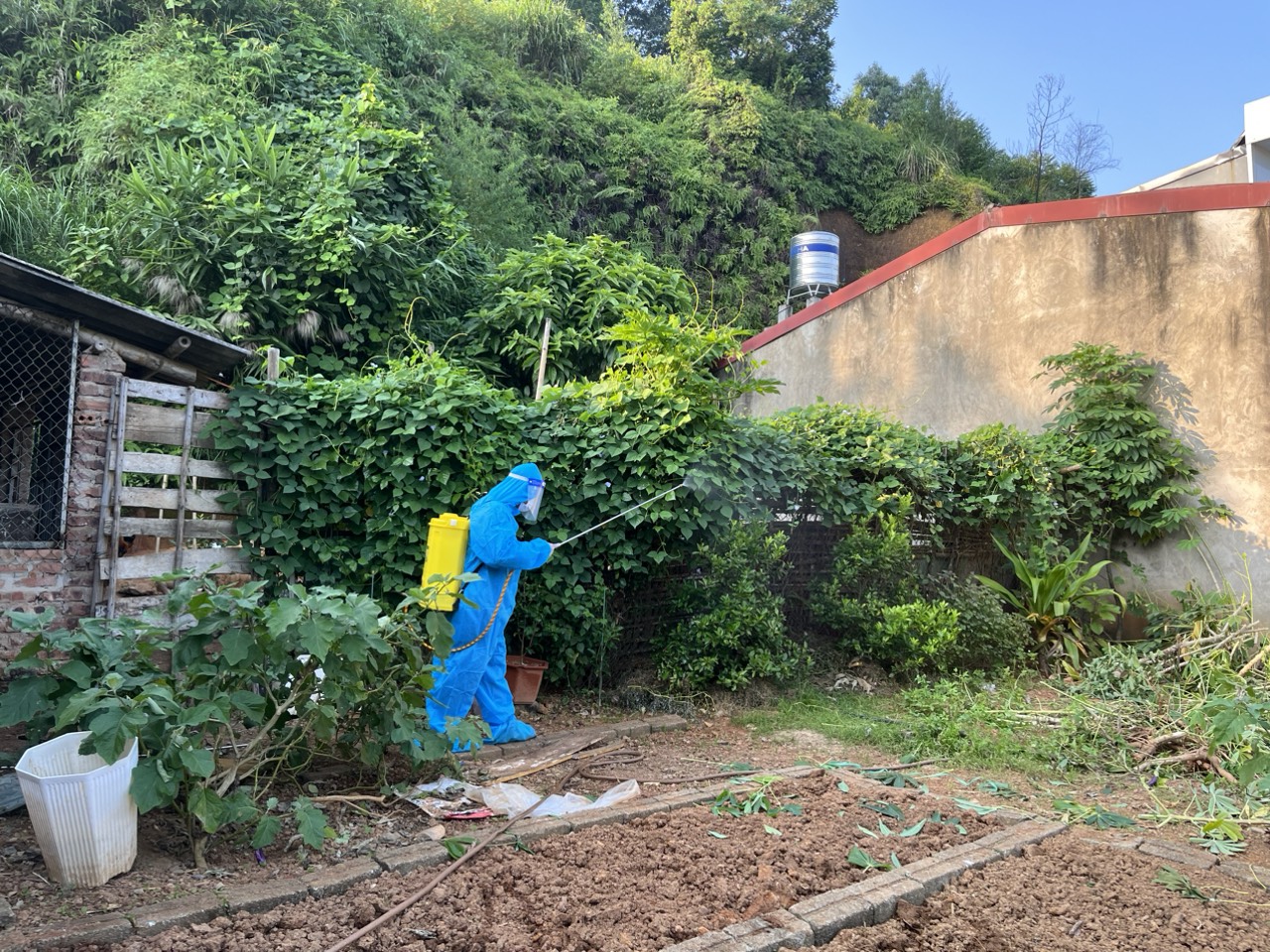 Hình ảnh tin tức Chủ động phòng tránh các bệnh truyền nhiễm  trong dịp Tết Nguyên Đán 2024