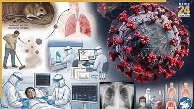 Hình ảnh tin tức VIRUS HANTA – HIỂM HỌA TỪ LOÀI GẶM NHẤM
